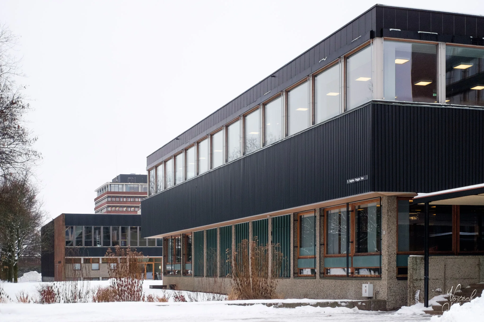 Portfolio photo 19